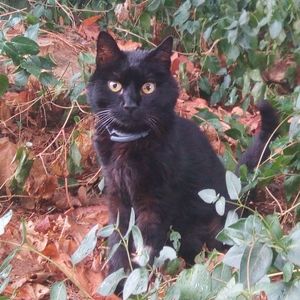 "Not For Sale" items